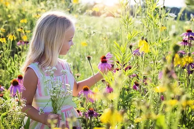 10 Destinos Encantadores para Viajar con Niños