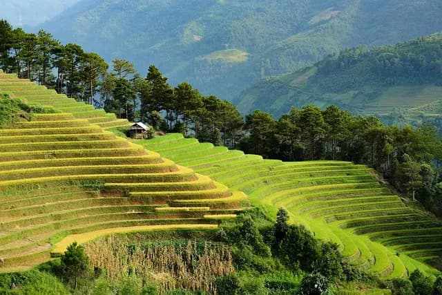 10 Consejos para Viajar con Encanto y Sostenibilidad