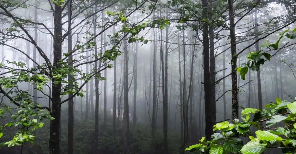 Cómo Elegir el Destino Perfecto para un Viaje de Encanto