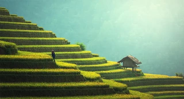 Cómo Planificar un Viaje de Encanto Perfecto y Sostenible