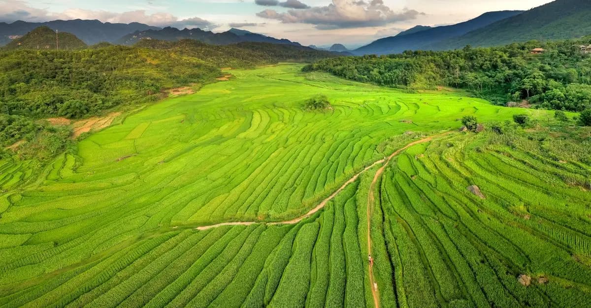 10 Consejos para Disfrutar de Viajes de Encanto y Sostenibilidad