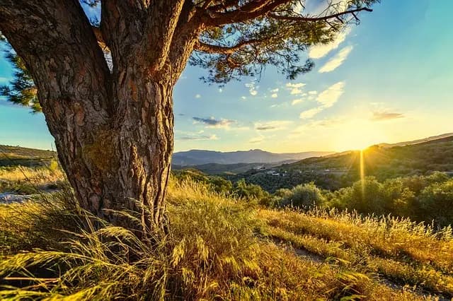 10 Trucos para Encontrar Alojamientos Encantadores en tus Viajes