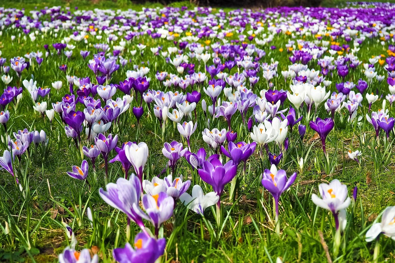 Los Mejores Destinos para Viajar Con Encanto en Primavera