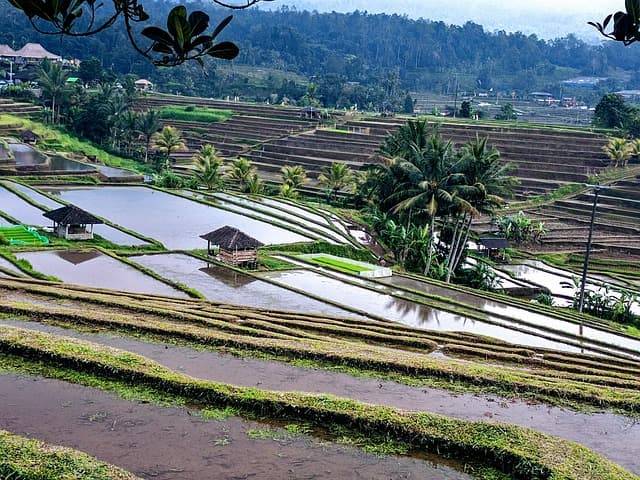 Los Mejores Destinos Encantadores en Asia que Debes Conocer